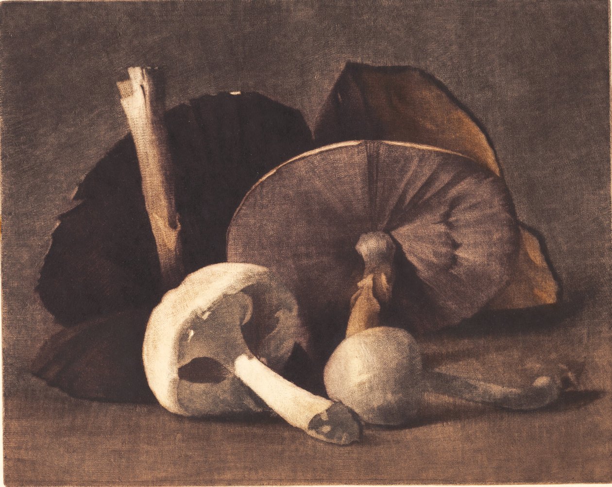 Fehér gomba alkotó: Peter Vilhelm Ilsted