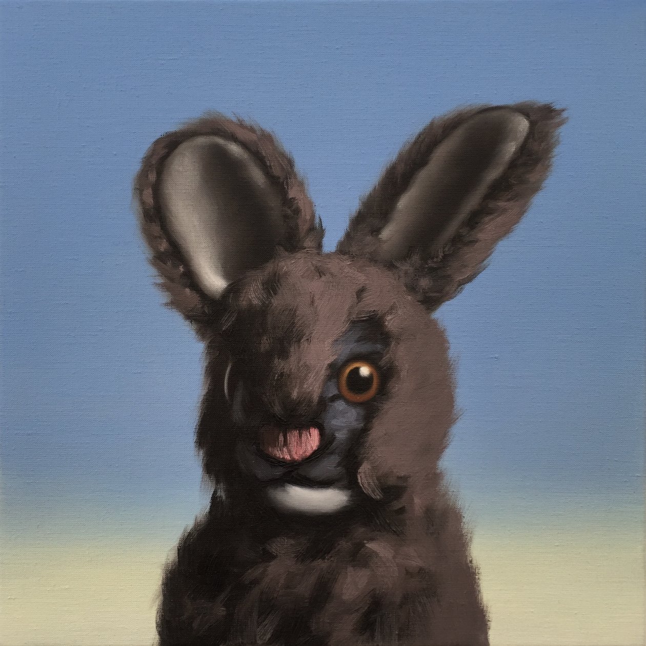 Nyuszi, 2017 alkotó: Peter Jones