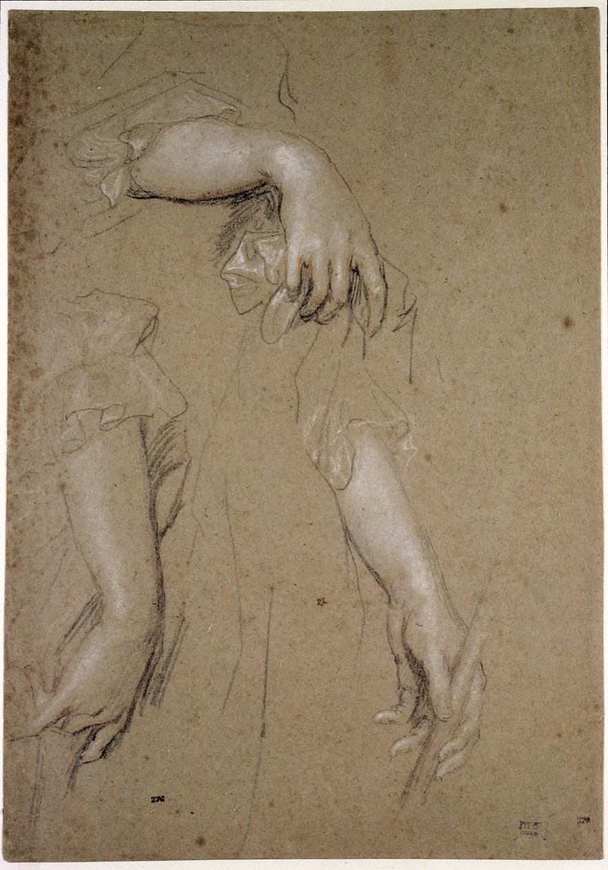Studies of Hands, 17. század (kréta papíron) alkotó: Peter Lely