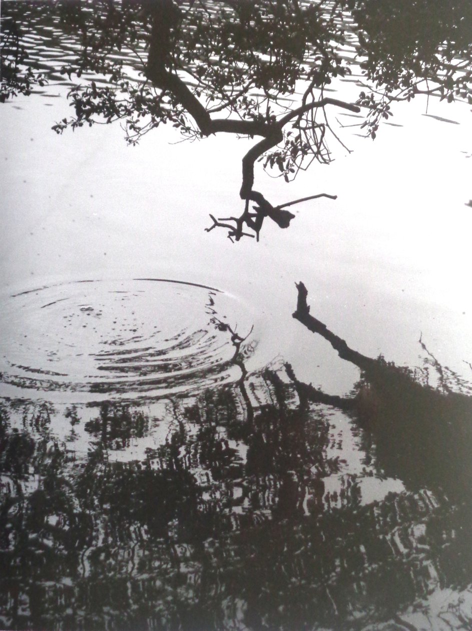 VINTAGE FEKETE-FÉR FOTÓ No.5, 1986, (FOTÓ) alkotó: Peter McClure
