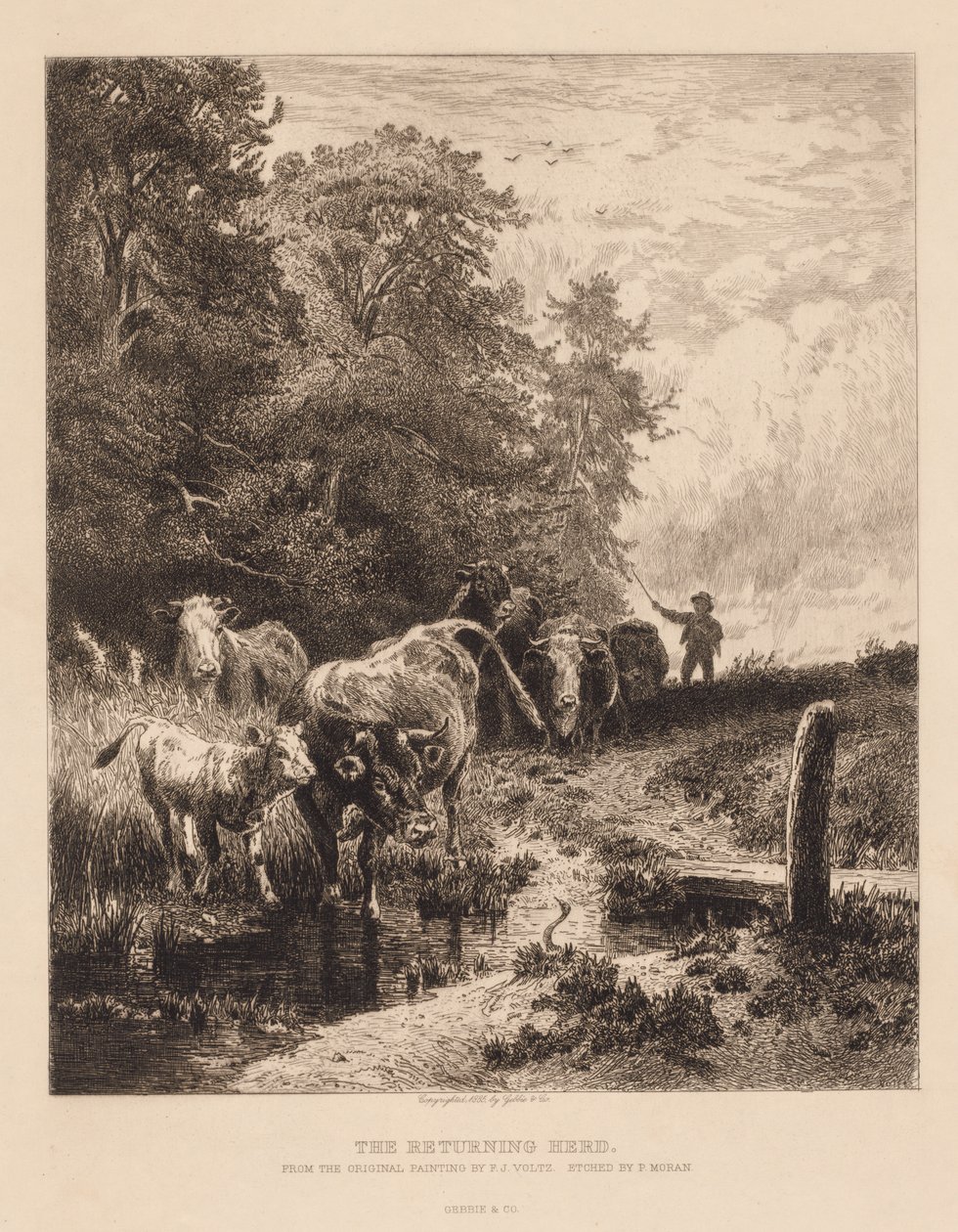A visszatérő csorda alkotó: Peter Moran