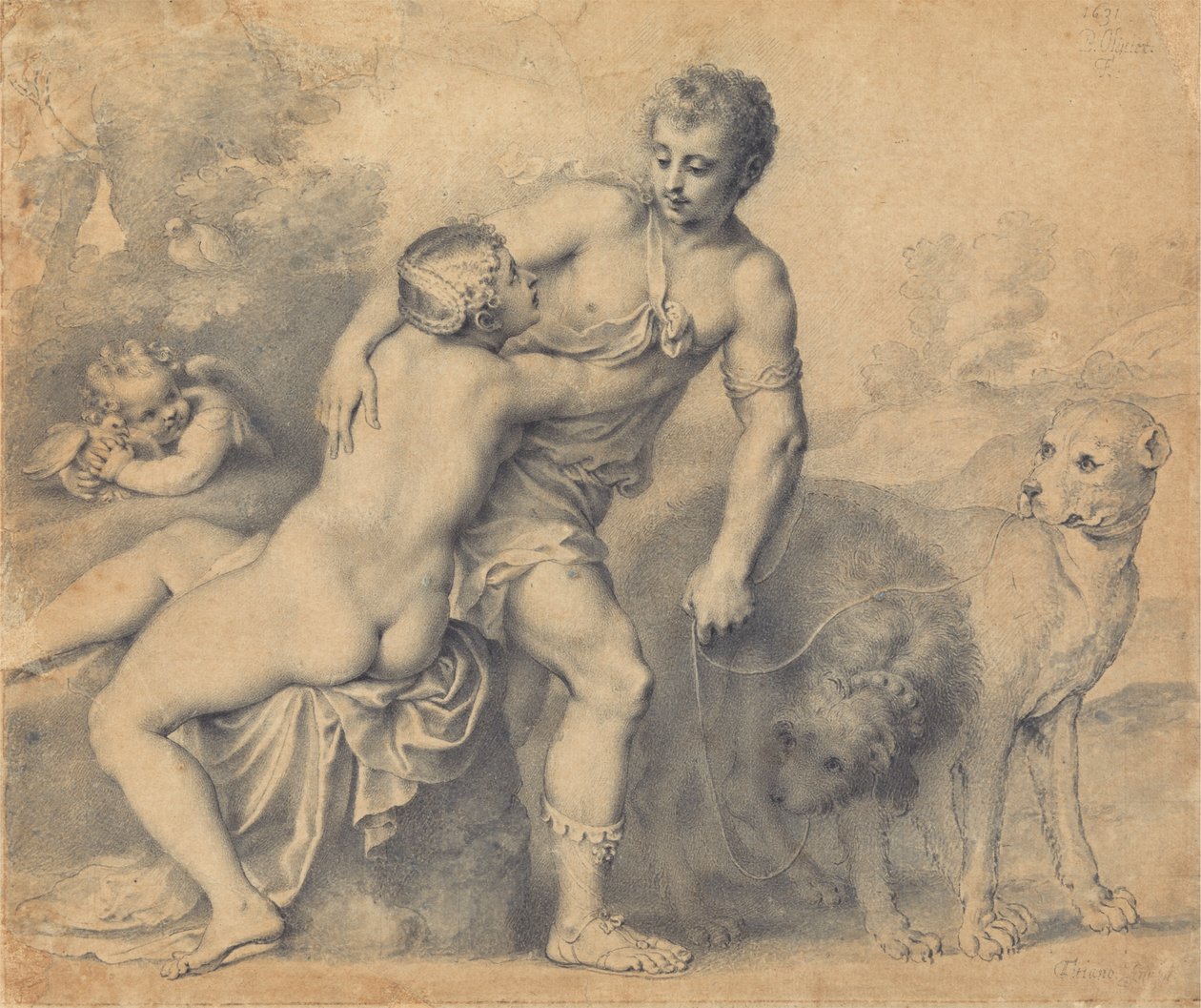 Vénusz és Adonisz alkotó: Peter Oliver