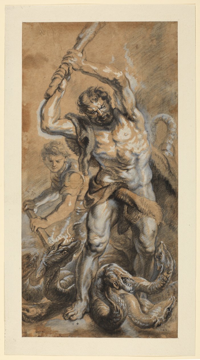 Herkules megöli a lernaei hidrát alkotó: Peter Paul (school of) Rubens