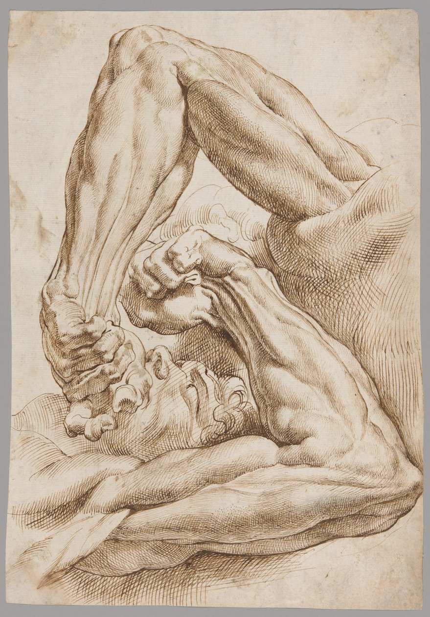 Anatómiai tanulmányok lapja alkotó: Peter Paul Rubens