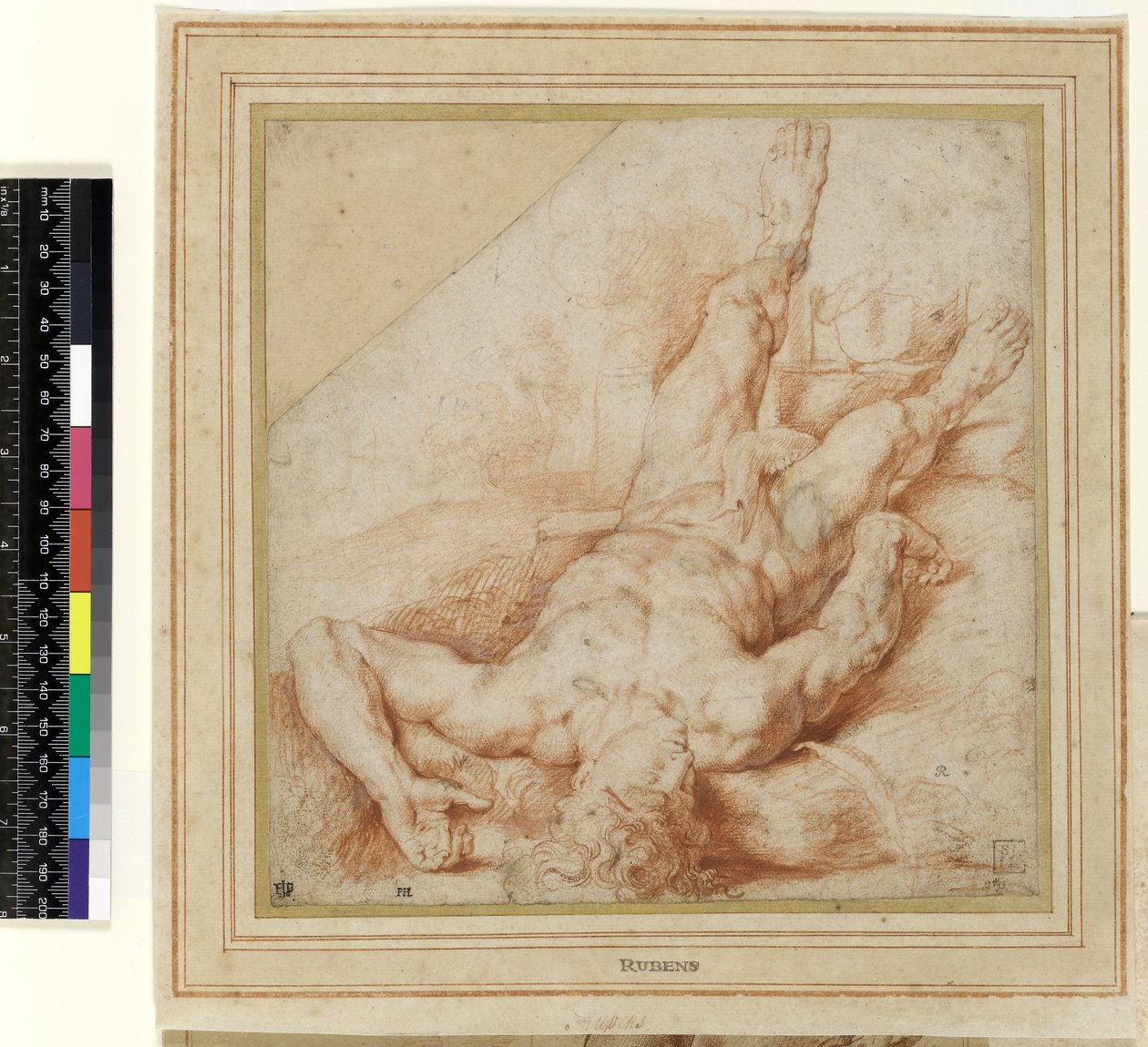 Káin megölte Ábelt (rajz) alkotó: Peter Paul Rubens