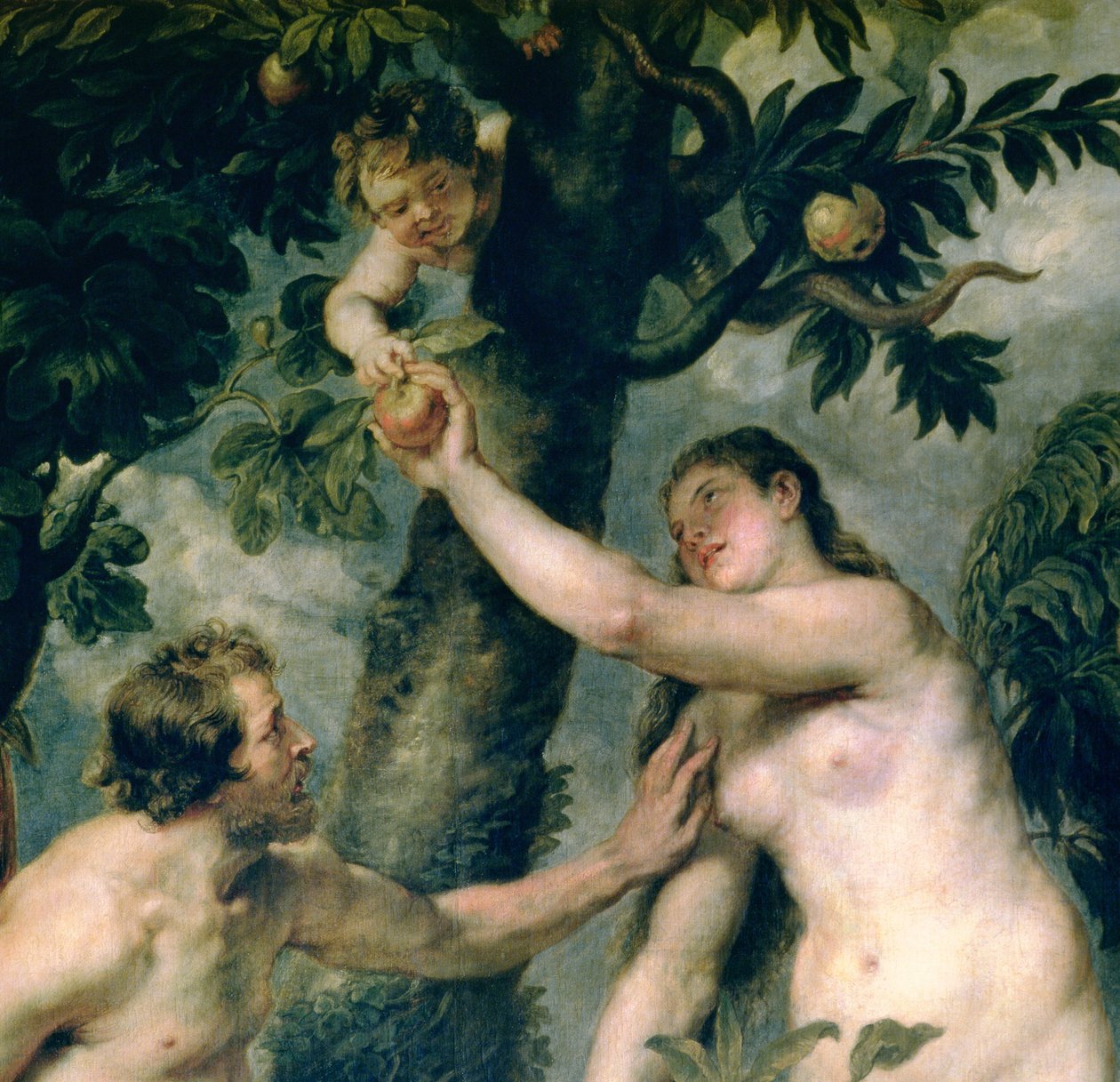 Ádám és Éva (Titianus festményéről másolva) (51710-es részlet) alkotó: Peter Paul Rubens