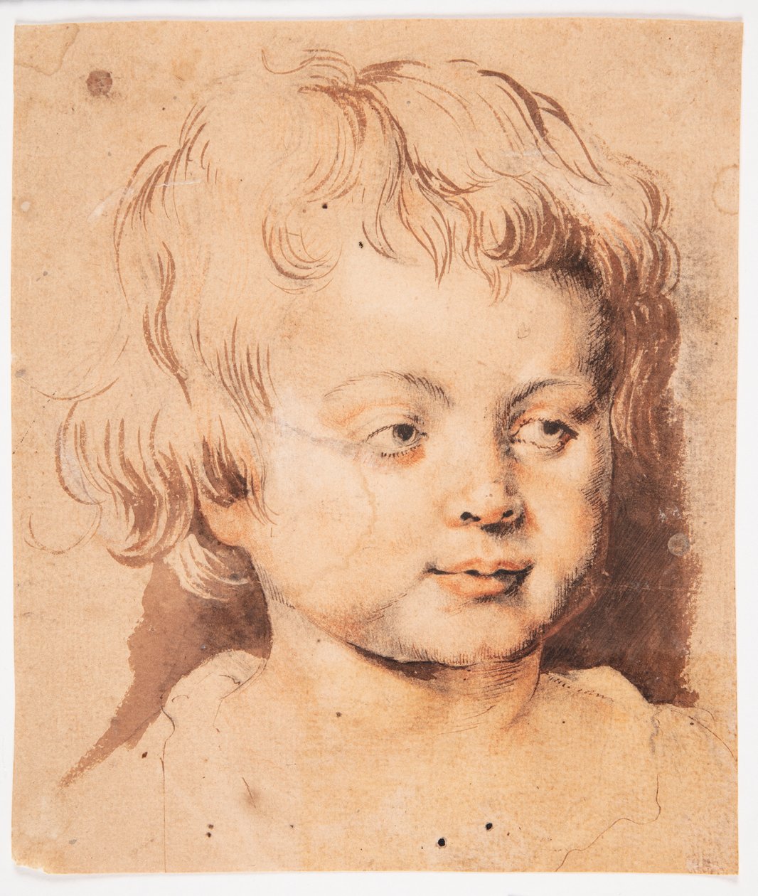 Gyermekfej alkotó: Peter Paul Rubens