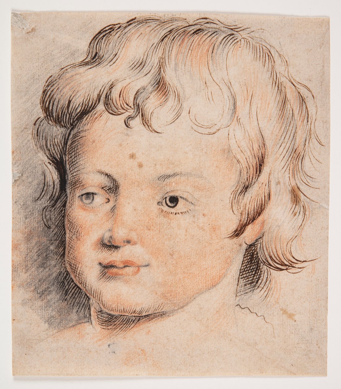Gyermekfej alkotó: Peter Paul Rubens