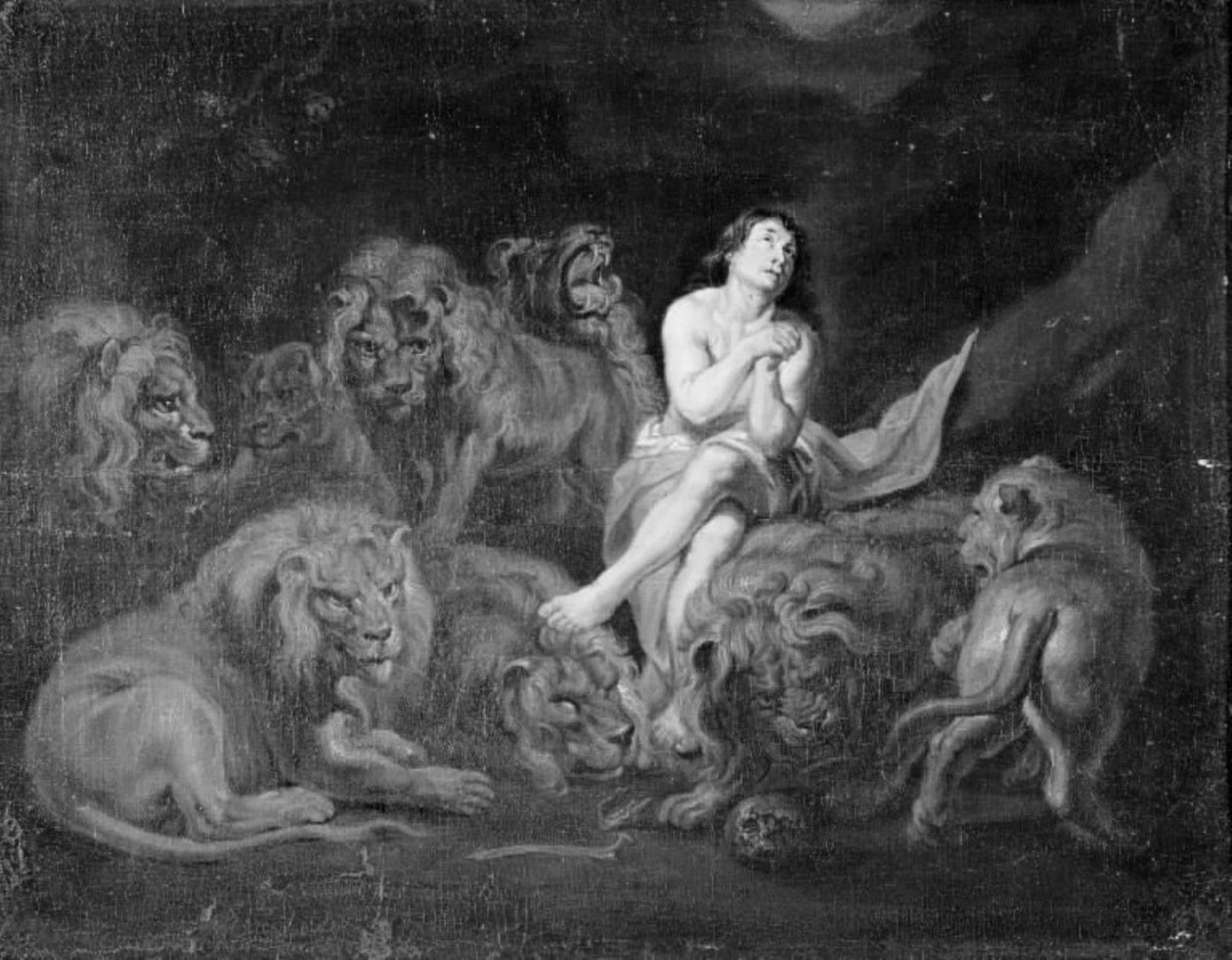 Dániel az oroszlánok vermében alkotó: Peter Paul Rubens