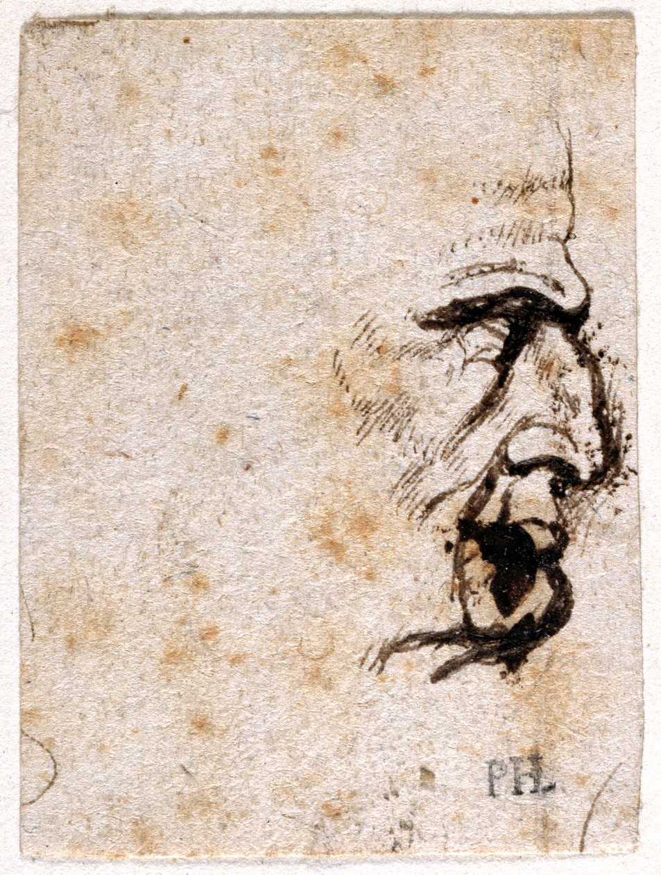 Galba, az első tizenkét Caesar közül nyolc tíz rajzából, Giovanni da Cavino érmei után (toll és tinta papíron) alkotó: Peter Paul Rubens