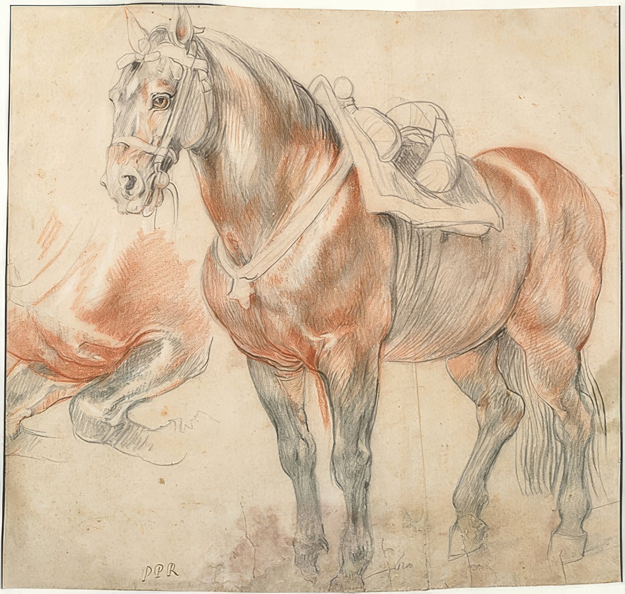 Nyerges ló. 1615-18 körül alkotó: Peter Paul Rubens