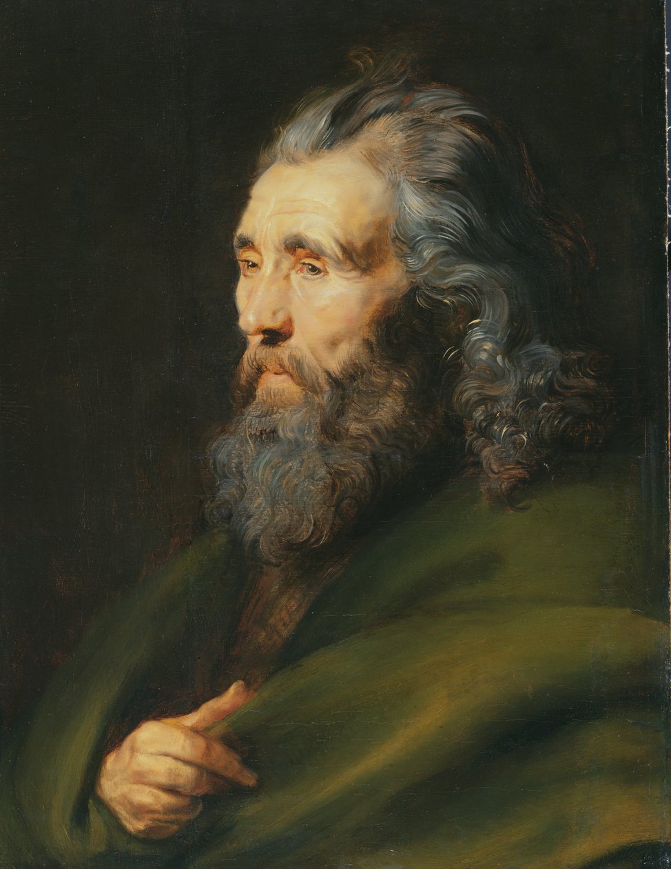 Fejtanulmány egy szakállas férfiról, 1617 körül alkotó: Peter Paul Rubens