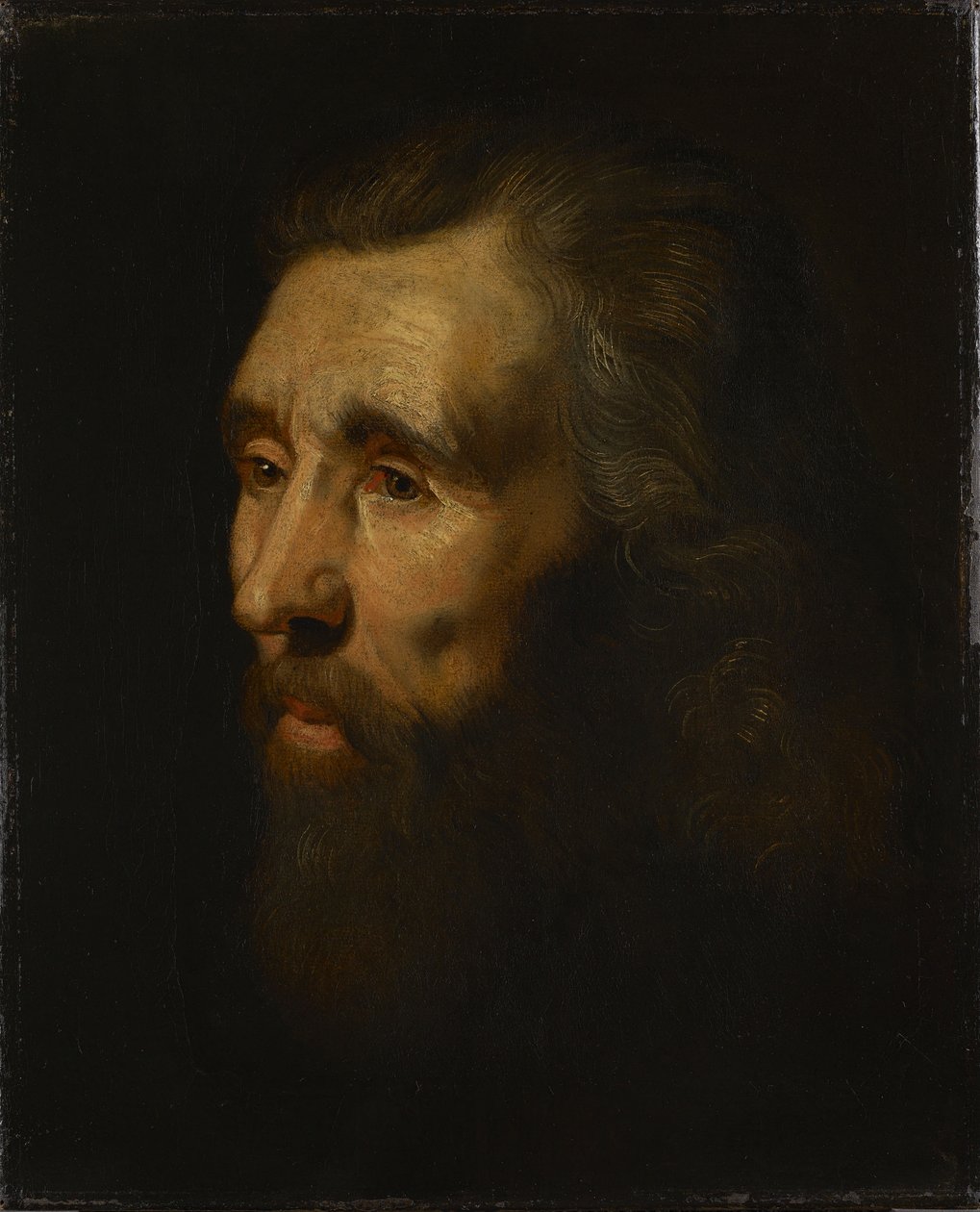 Egy szakállas férfi feje alkotó: Peter Paul Rubens