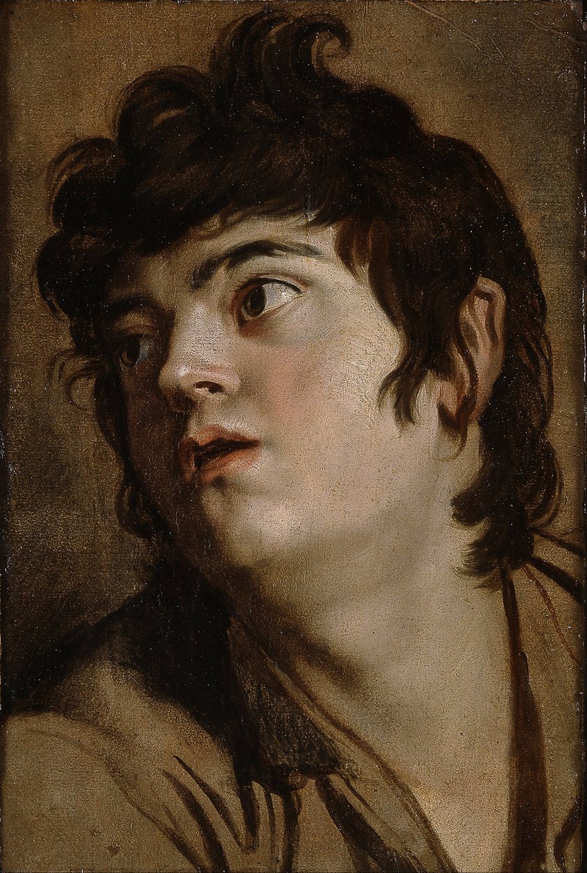 Egy fiatal férfi feje alkotó: Peter Paul Rubens