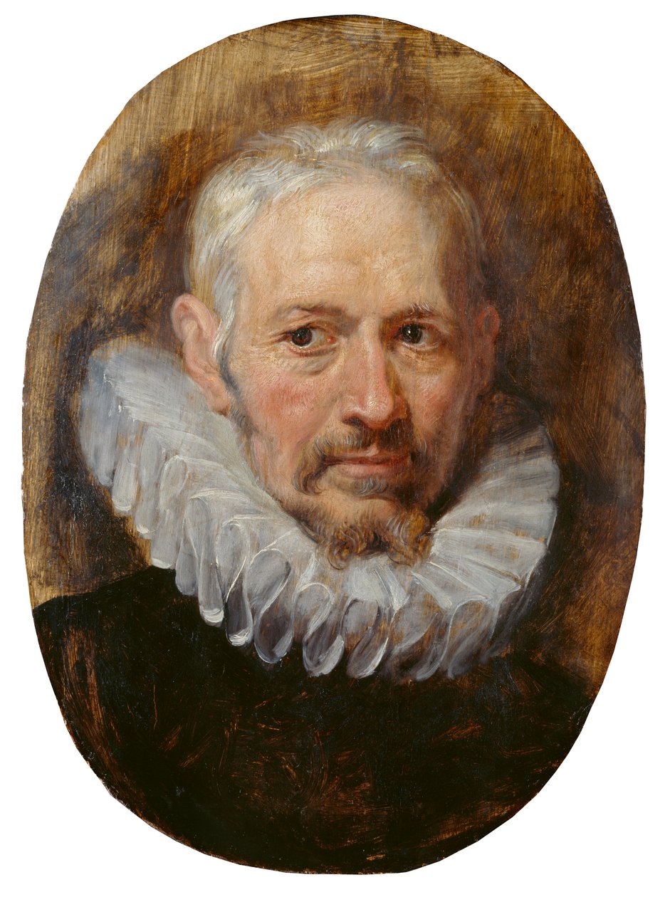 Egy öreg feje (olaj a panelen) alkotó: Peter Paul Rubens
