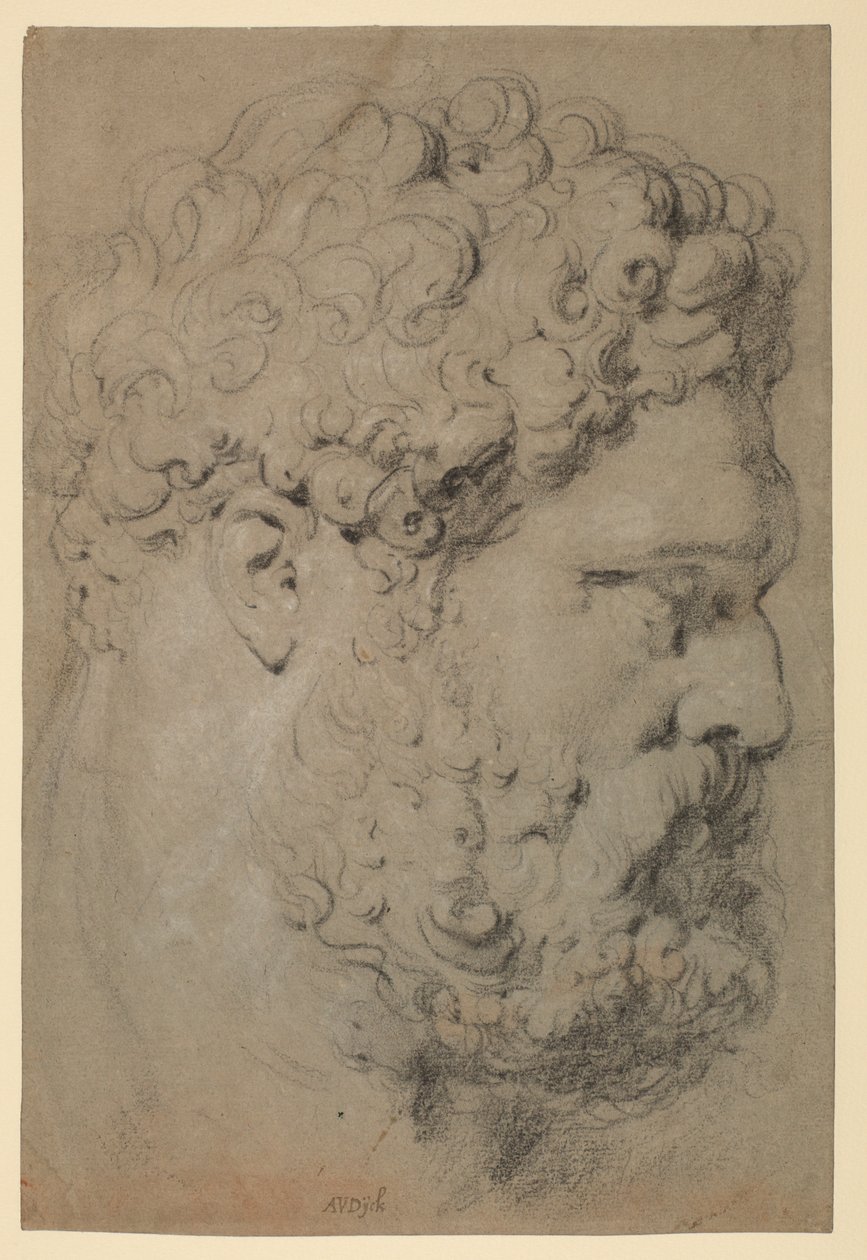 A Farnese Hercules vezetője alkotó: Peter Paul Rubens