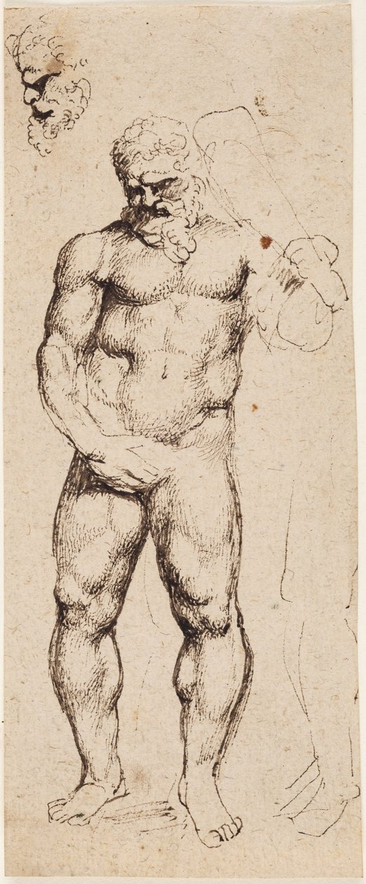 Herkules alkotó: Peter Paul Rubens