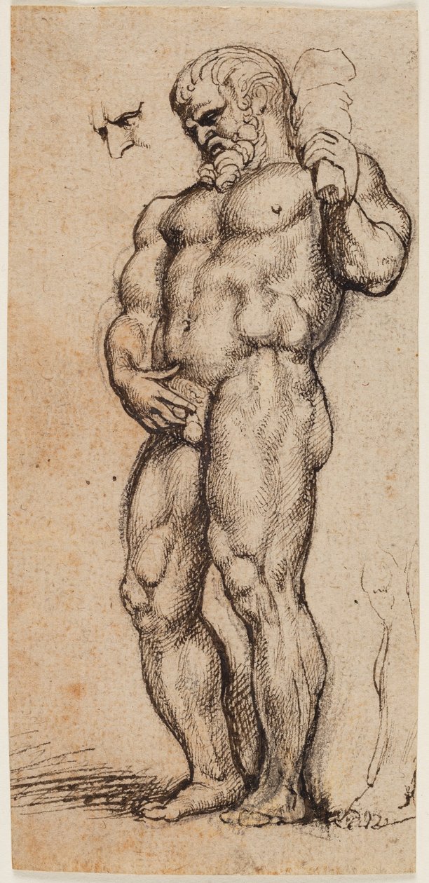 Herkules alkotó: Peter Paul Rubens