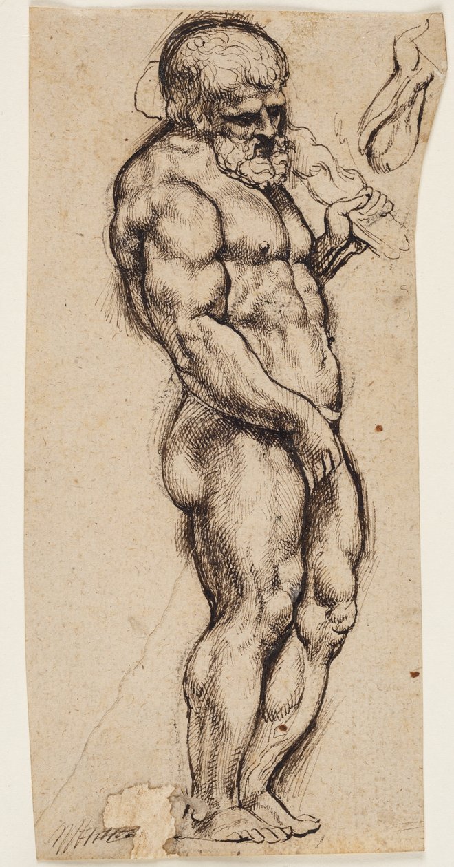 Herkules alkotó: Peter Paul Rubens