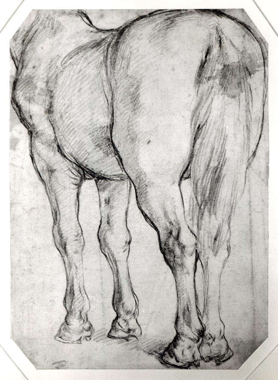 A ló hátsó része alkotó: Peter Paul Rubens