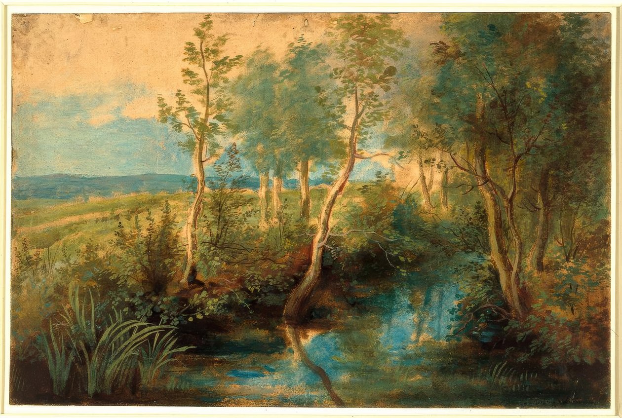 Táj a fákkal borított patakkal alkotó: Peter Paul Rubens