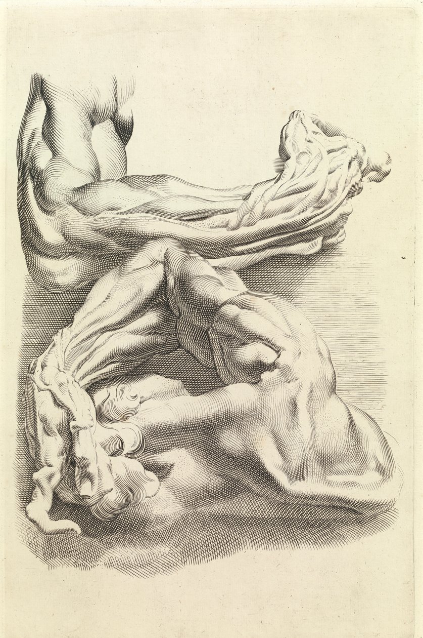 Izmok (metszet) alkotó: Peter Paul Rubens