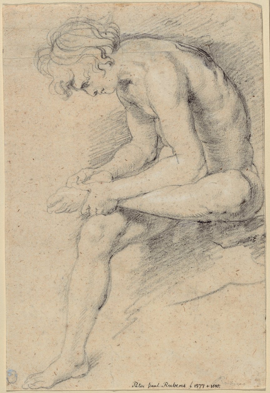 Meztelen fiatal a spinario pózában alkotó: Peter Paul Rubens