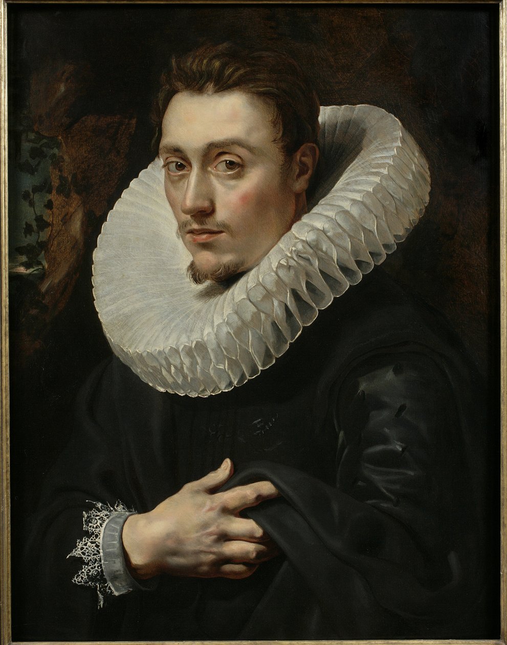 Fiatal férfi portréja alkotó: Peter Paul Rubens