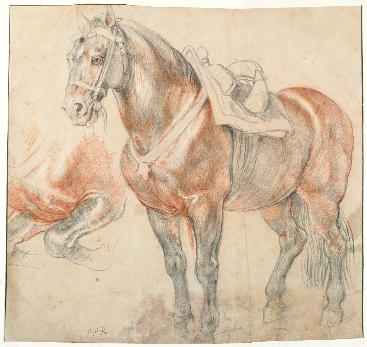 Nyerges ló, c. 1616-1618 alkotó: Peter Paul Rubens