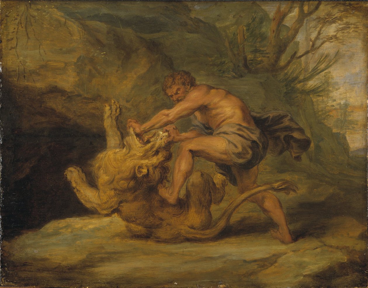 Sámson és az oroszlán. Tanulmány alkotó: Peter Paul Rubens