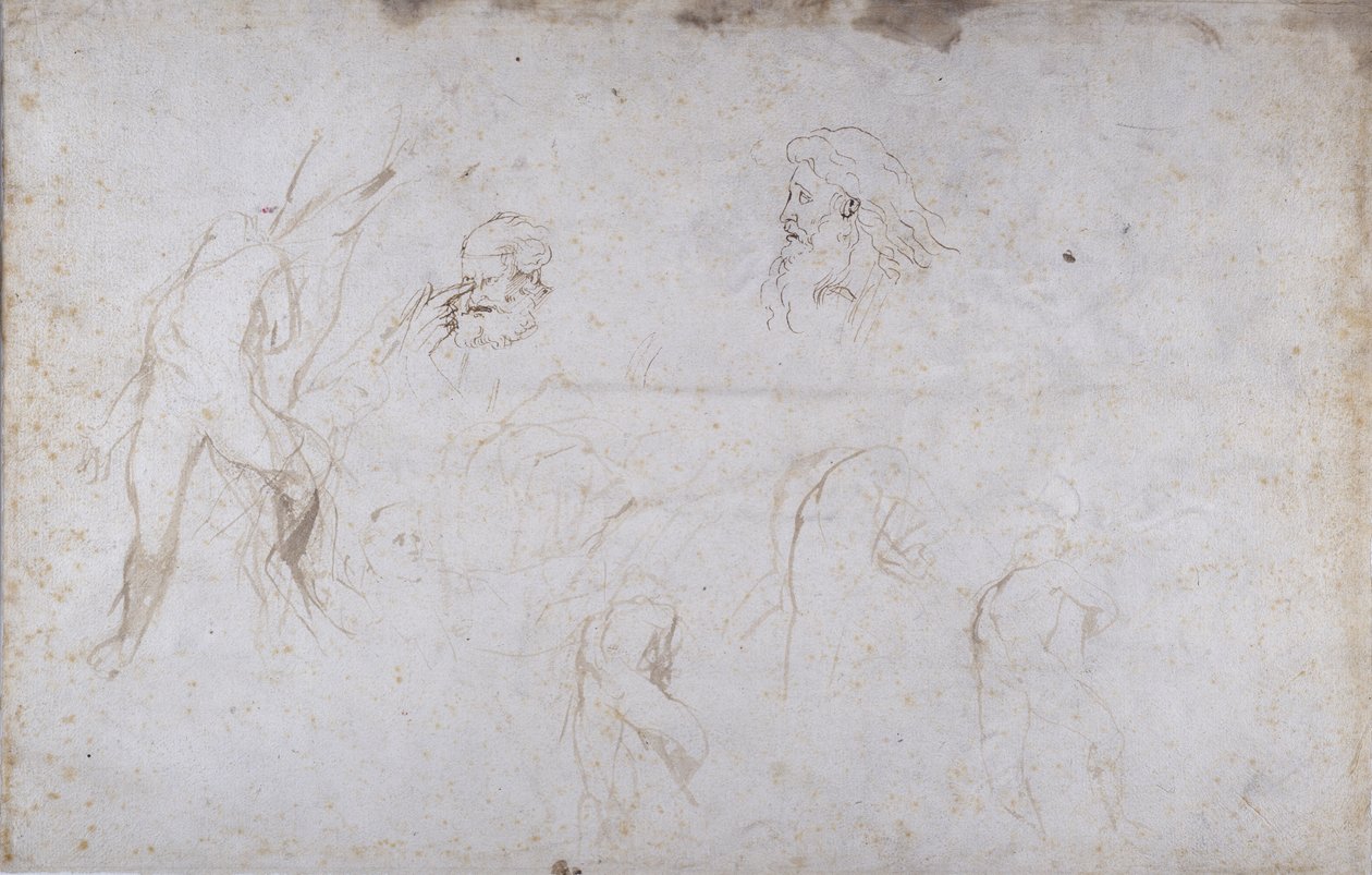 Tanulmányok egy fához kötözött férfi alakról és két férfifejről, 1601 körül (toll és tus, papír) alkotó: Peter Paul Rubens