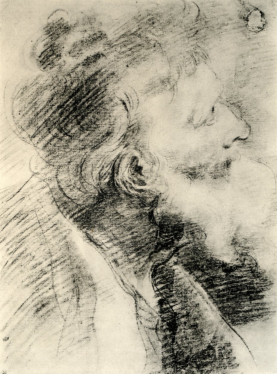 Tanulmány egy öregember fejének, 1913. alkotó: Peter Paul Rubens