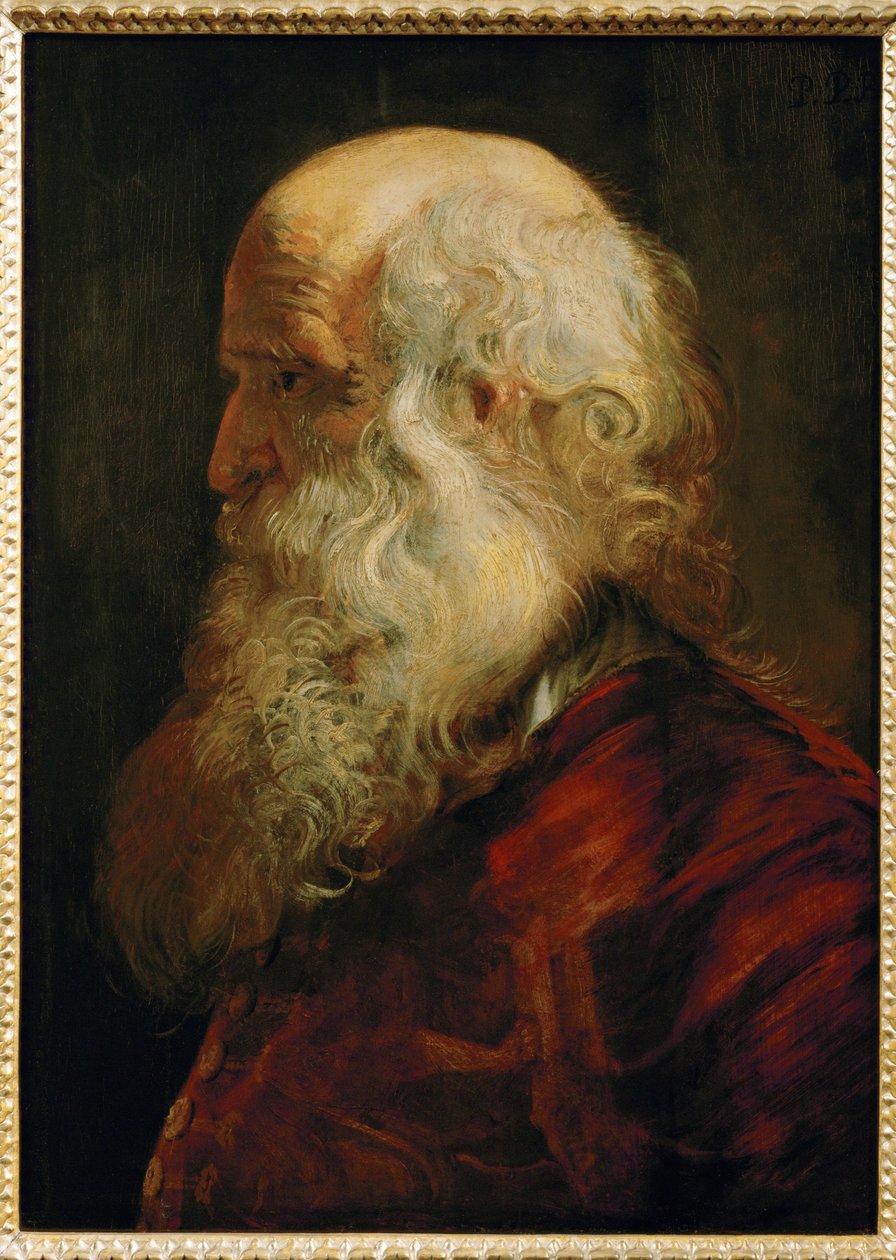 Tanulmány egy öregemberről, 1610 körül (festmény tölgyfára) alkotó: Peter Paul Rubens