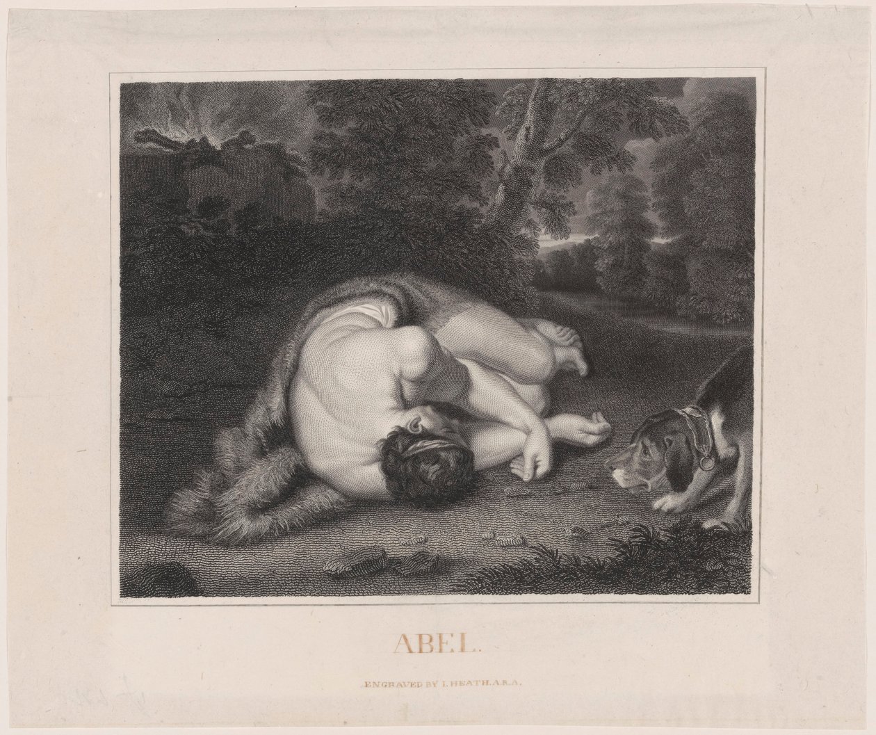 Ábel halála alkotó: Peter Paul Rubens