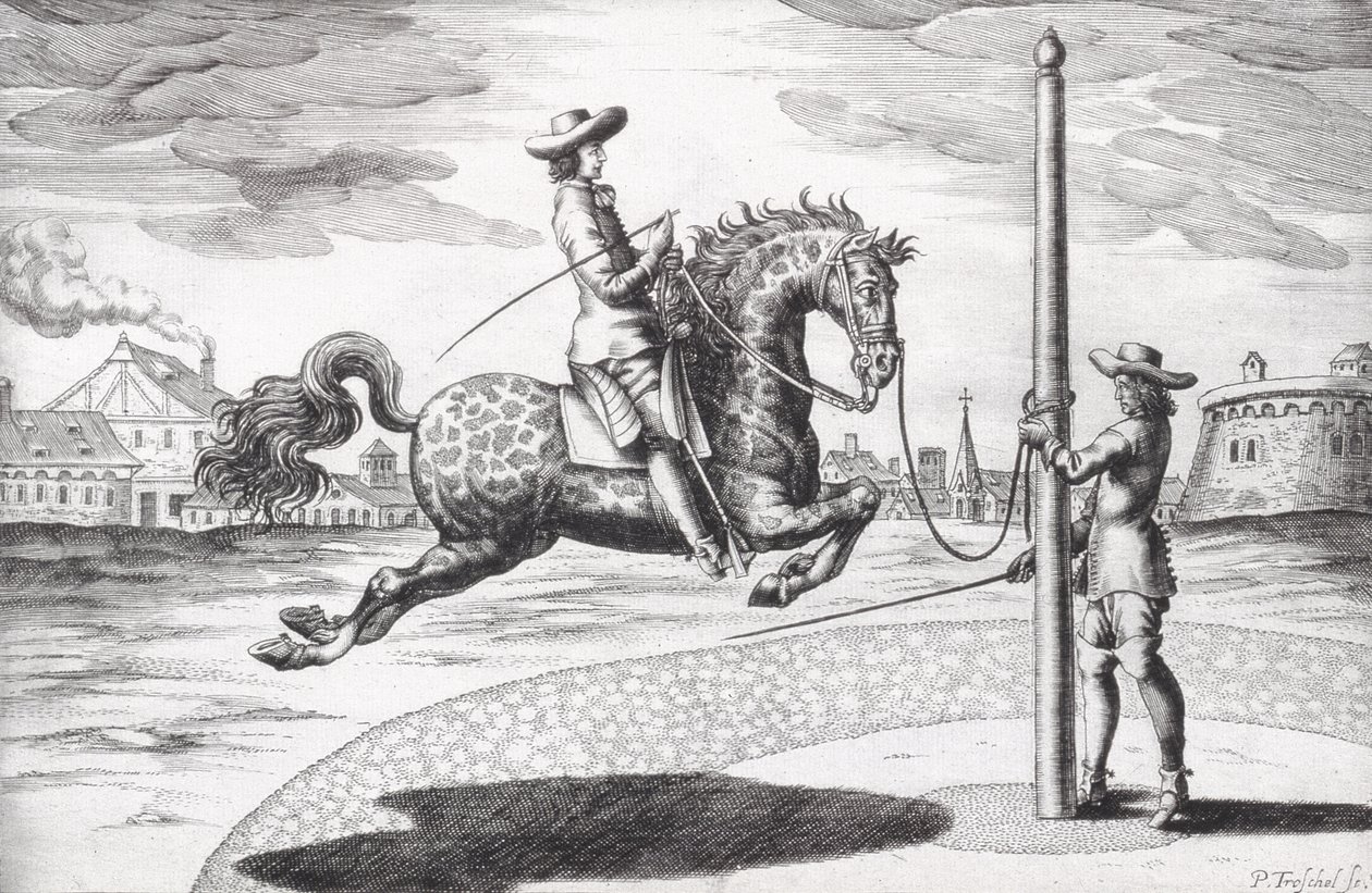 Ló en Capriole a lovak tenyésztésének új értekezéséből, Winters, Stuterey és Reit-Schul által, a művész metszett, kocsma. 1672-es metszet alkotó: Peter Paul Troschel