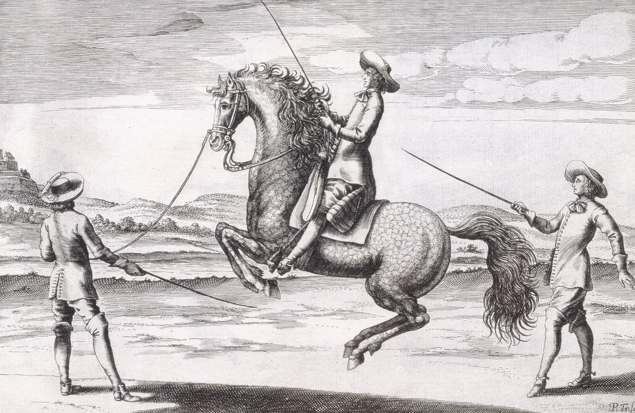 Illusztráció egy lóról en Croupade a Winters, Stuterey és Reit-Schul, pub által írt új értekezésből a tenyészlovakról. 1672 alkotó: Peter Paul Troschel