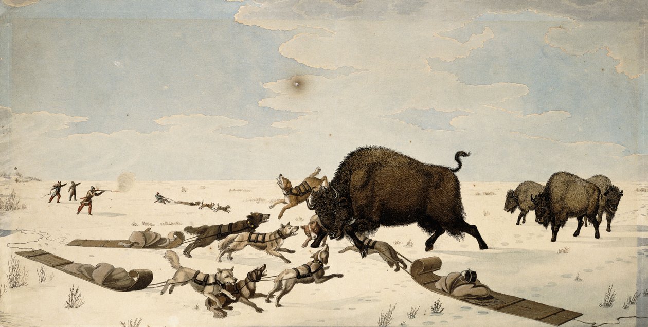 Bivalyvadászat, 1822-1824 körül alkotó: Peter Rindisbacher