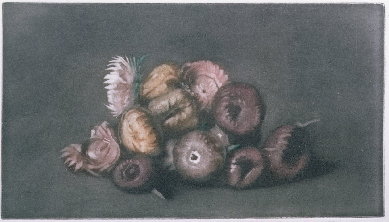 Szárított virágcsendélet (színes mezzotint) alkotó: Peter Vilhelm Ilsted
