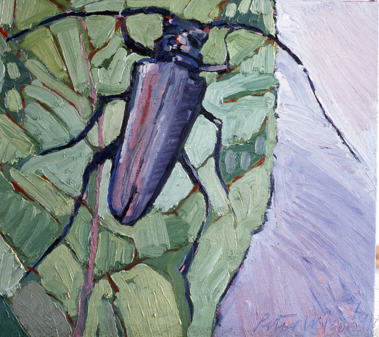 Pézsmabogár alkotó: Peter Wilson