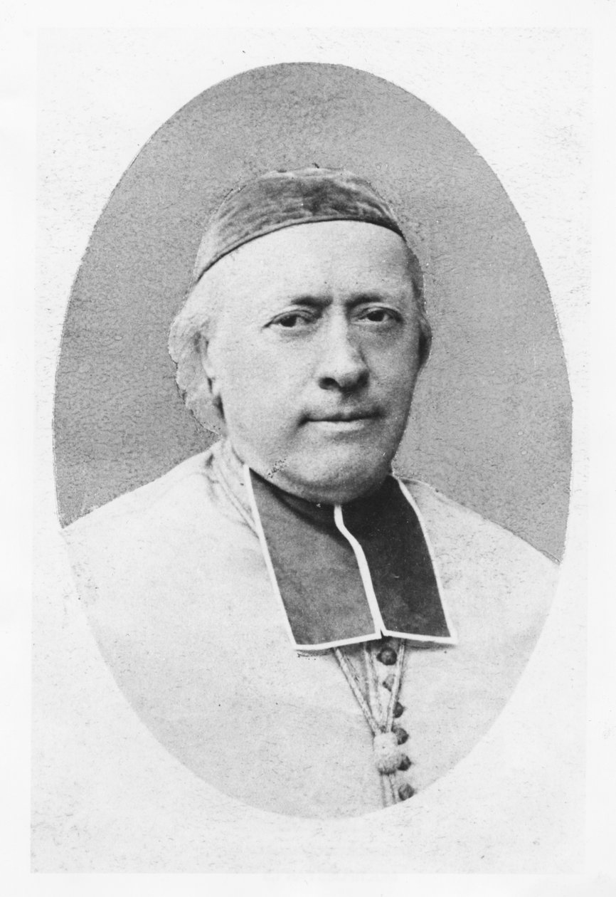Charles-Emile Freppel portréja alkotó: Petit