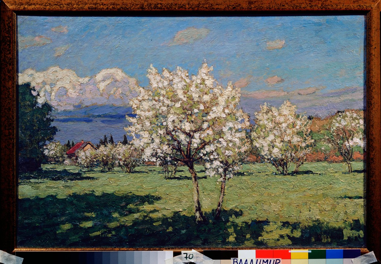 Cseresznyevirágok. Pjotr ​​Ivanovics Petrovicsov (Pjotr ​​Petrovicsov) (1874-1947) festménye, olaj, vászon alkotó: Petr Ivanovic Petrovichev