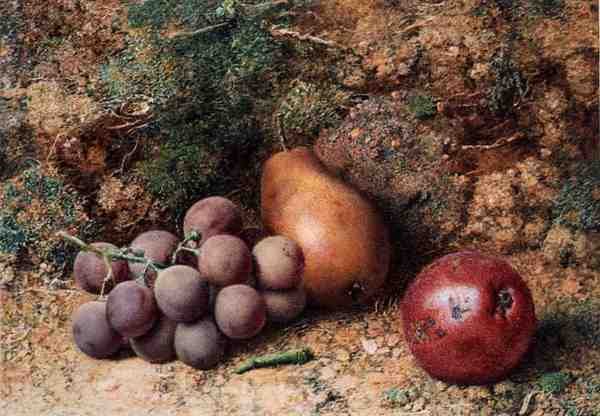 Szőlő, alma és körte mohás parton (akvarell és gouache papíron) alkotó: Philip Dolan