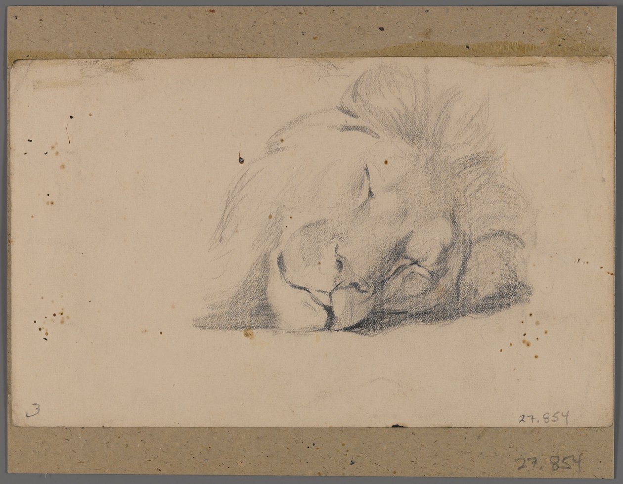 Alvó oroszlán feje (grafit papíron, az ablakszőnyegre ragasztva) alkotó: Philip H. Wolfrom