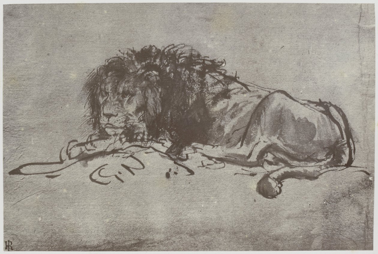 Rembrandt, egy oroszlán alkotó: Philip Henry Delamotte
