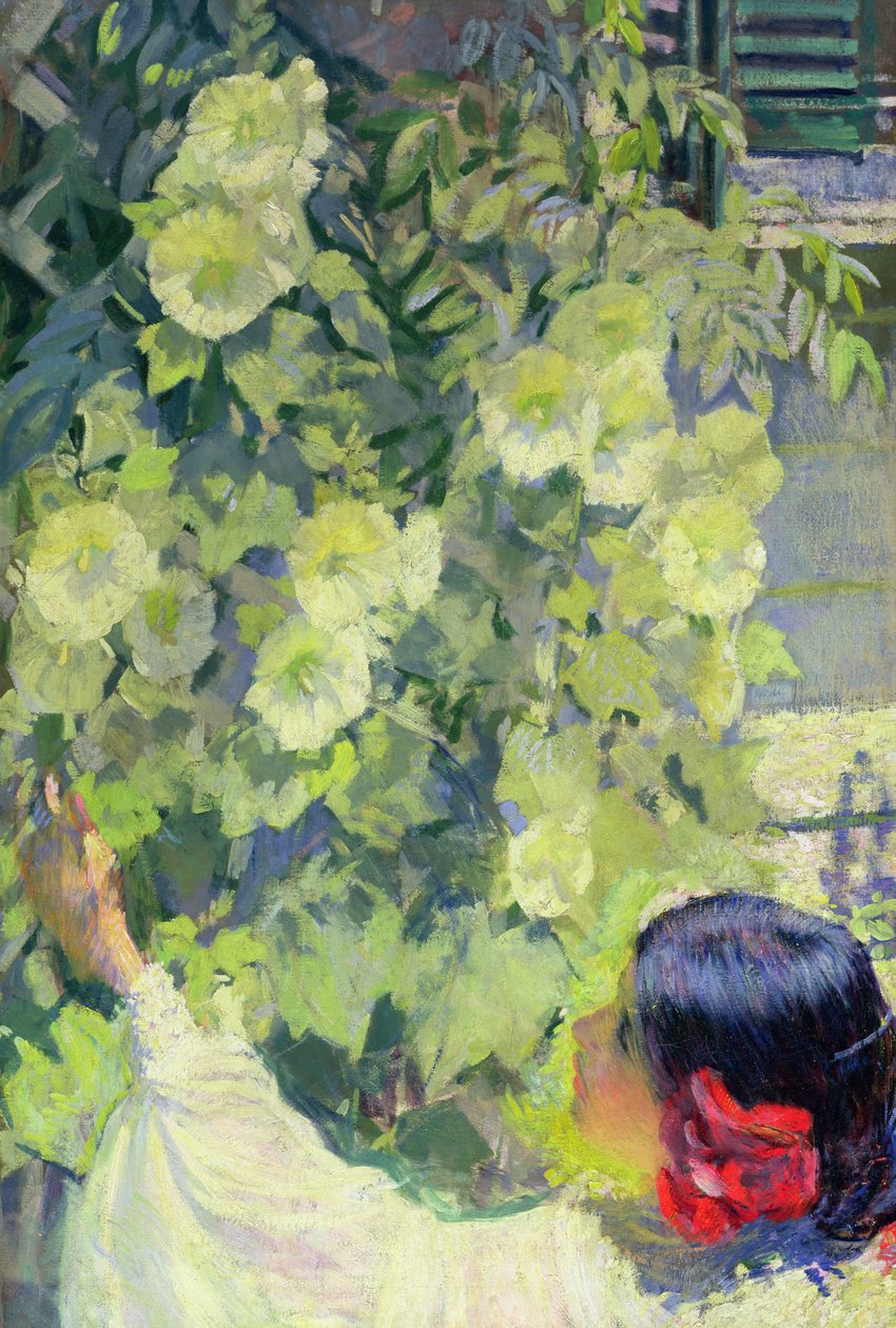 Hollyhocks, 1923 körüli (olaj, vászon) alkotó: Philip Leslie Hale