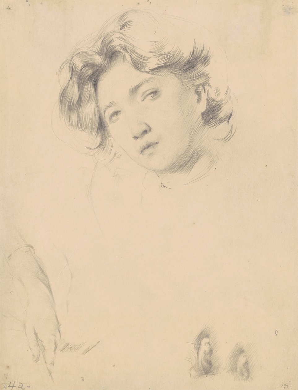 Tanulmány a lány fejéhez, 1900 körül (grafit szőtt papíron) alkotó: Philip Leslie Hale