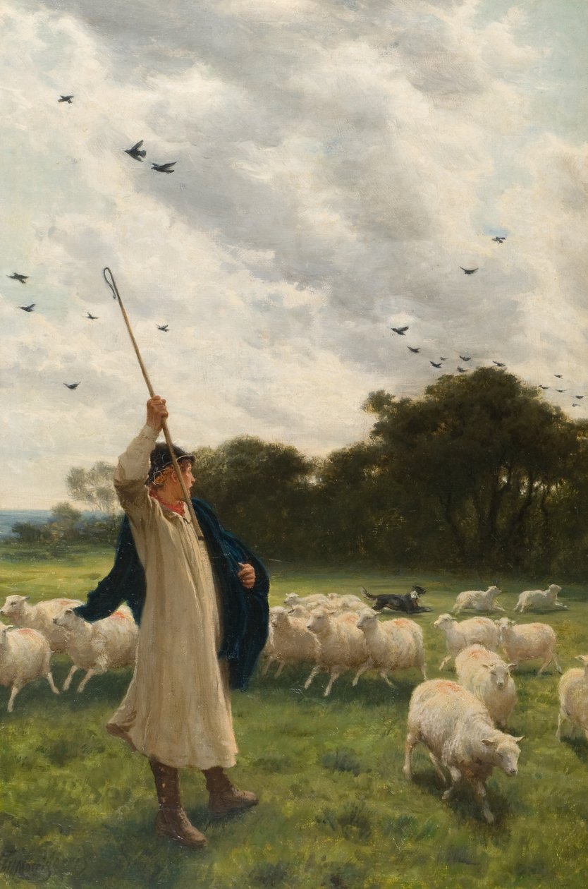 Változó legelő alkotó: Philip Richard Morris
