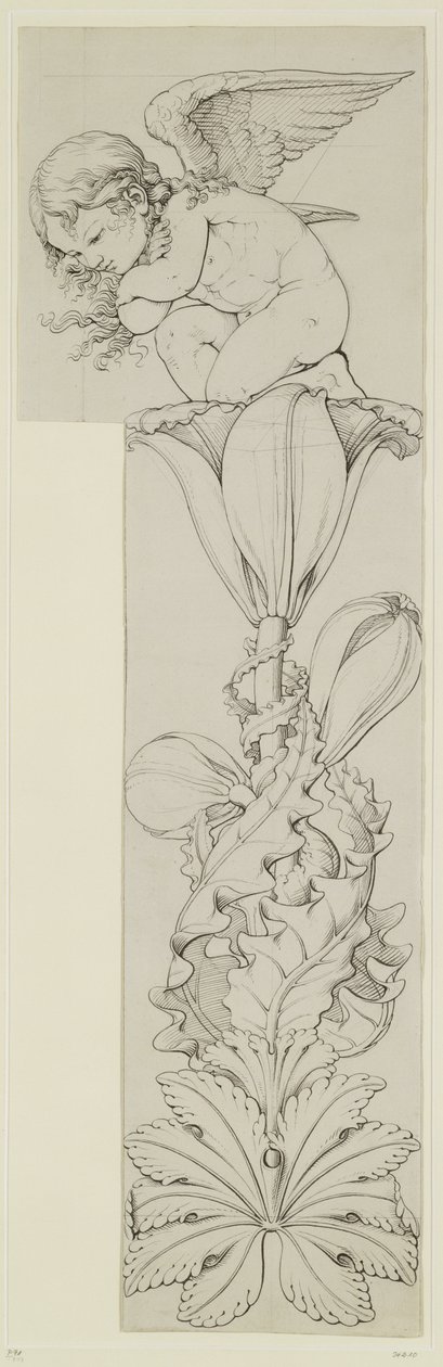 Genius of the Lily, 1809 (ceruza és mosás papíron) (jobb szárny) alkotó: Philipp Otto Runge