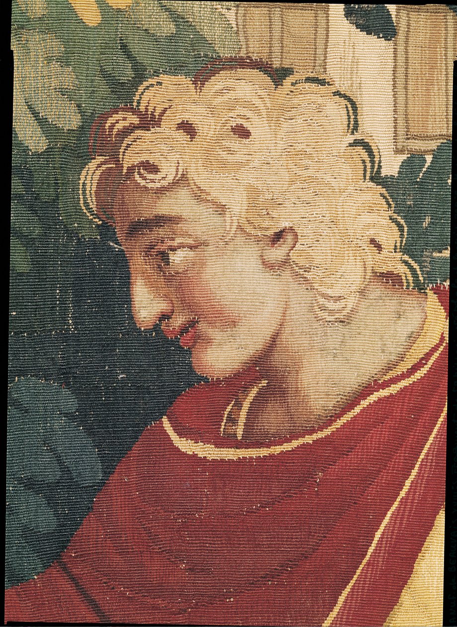 Cephalus és Procris, Cephalus fejének részlete, Beauvais Műhely (szőttes) alkotó: Philippe Behagle