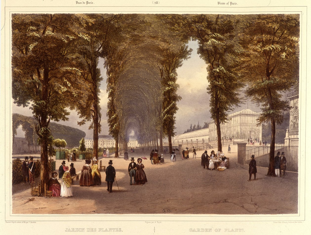 Le Jardin des Plantes - „Séta Párizsban és környékén”, Jacottet és Benoist, Párizs, 1840 körül alkotó: Philippe Benoist